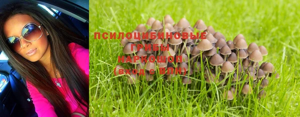 ГАЛЛЮЦИНОГЕННЫЕ ГРИБЫ Алексин
